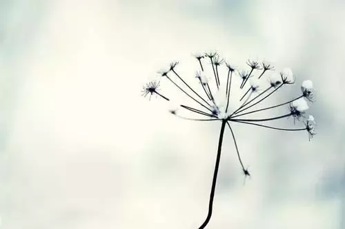 亚马逊大多数卖家拒绝反对美国反垄断立法 亚马逊大多数卖家拒绝反对美国反垄断立法