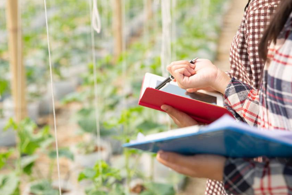 亚马逊地址验证后要多久通过 亚马逊地址验证后要多久通过